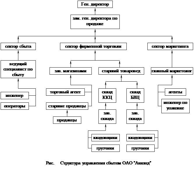 Реферат: Организационная структура компании