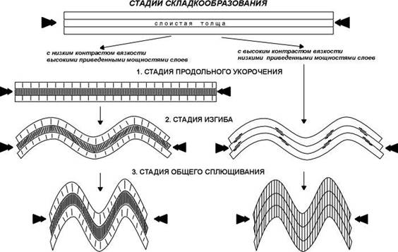 Реферат: Строение и свойства карбонатных пород среднего карбона района ММДЦ Москва-Сити