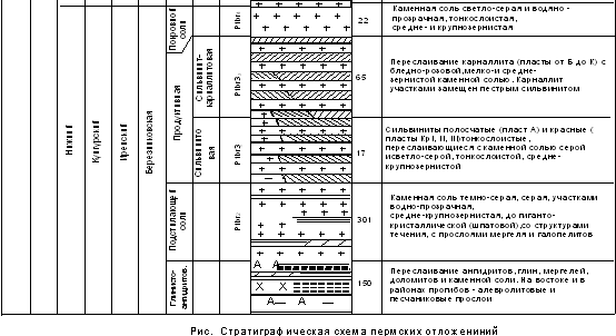 Курсовая работа: Геоэкологические условия участка дворца культуры в пгт Першотравневое